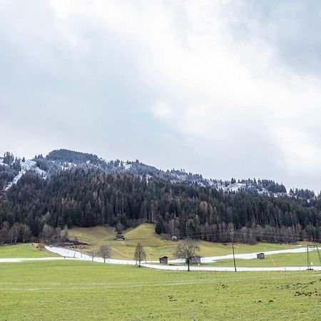 ニーデラウBergwelt Cアパートメント エクステリア 写真